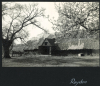 Roydon Barn Album 1955