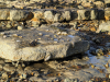 Harwich Beach with Harwich Stone Band resting on Clay 