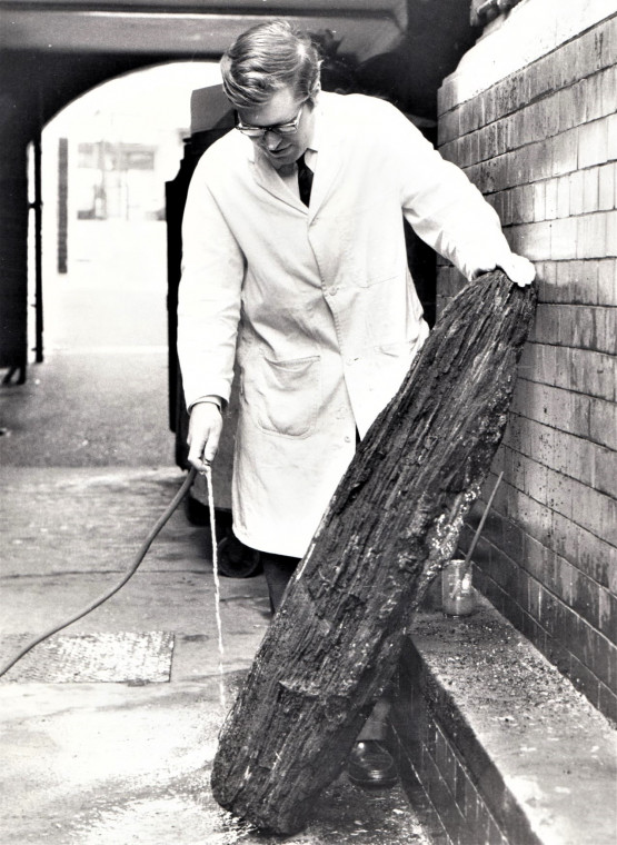 Fossil Log from London Clay being cleaned by G R Ward Copyright: Ilford Recorder 1 May 1974