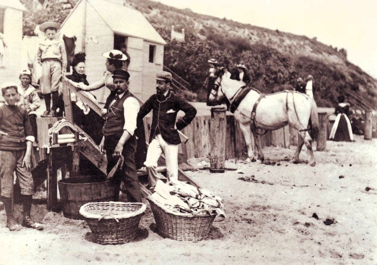 Clacton beach and cliffs with horses and people Copyright: William George