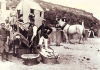 Clacton beach and cliffs with horses and people 