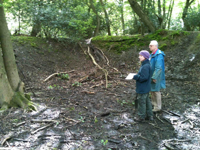 Wintry Wood Brick Pit 1 Copyright: Gerald Lucy