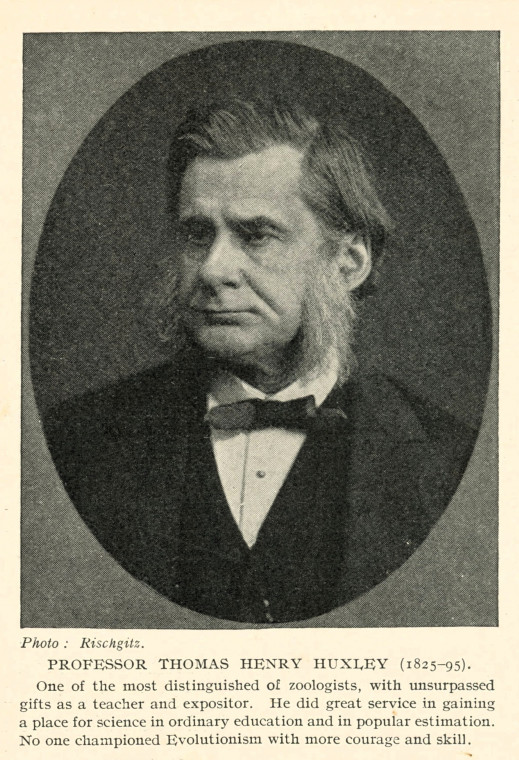 Thomas Henry Huxley 1825 to 1895 Zoologist Portrait Clipping Copyright: Martin Venables via David Bone