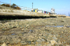 Harwich Beach with Harwich Stone Band Low Lighthouse 