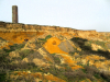 Walton on the Naze Cliff Section with Tower in background 