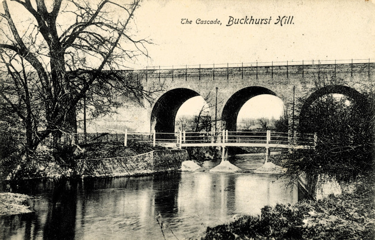 Buckhurst Hill The Cascade Post Card Copyright: William George