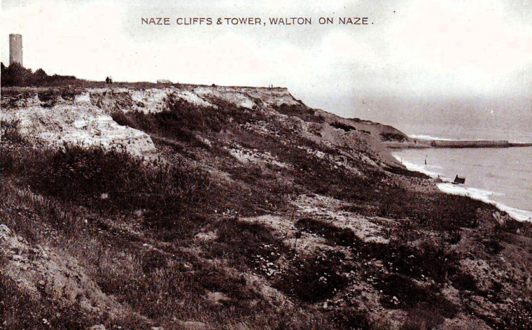 Walton  on  the Naze Cliffs and Tower Post Card Copyright: William George