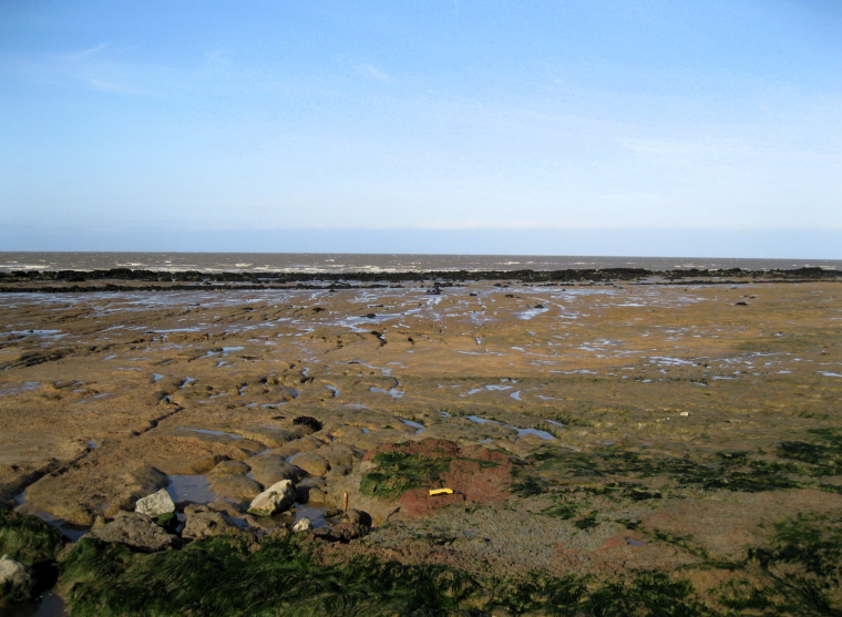 Walton on the Naze Remnants of salt working Red Hill Copyright: William George