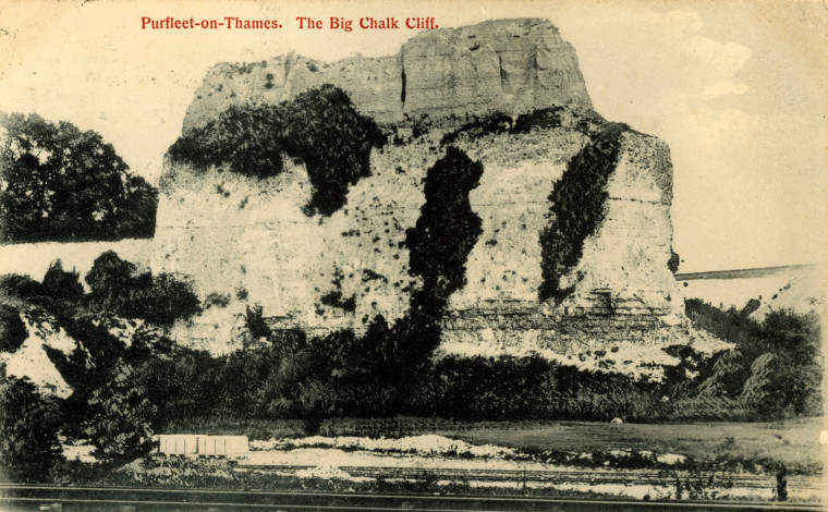 Purfleet on Thames The Big Chalk Cliff posted 1905 Copyright: Post Card