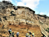 Pleistocene Gravels and Red Crag The Naze Walton on the Naze