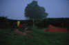 Camping near Maldon May 1985