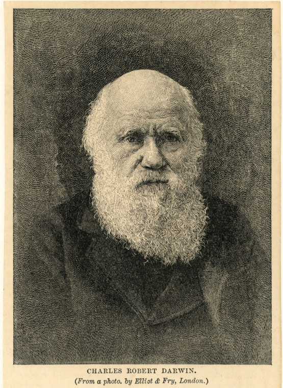 Charles Robert Darwin 1809 to 1882 Newspaper Clipping Portrait Copyright: Martin Venables via David Bone