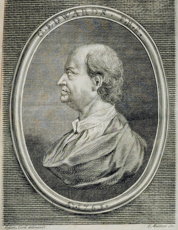 George Edwards 1694 to 1773 Ornithologist 1763 Copyright: Portrait