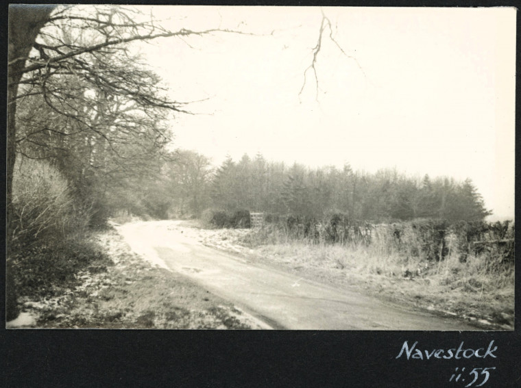 Navestock Lane with trees and hedges Photograph Album 1955 Copyright: Photograph Album