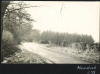 Navestock Lane with trees and hedges Photograph Album 1955 