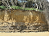 Walton on the Naze Loess Deposit resting on Harwich Formation 