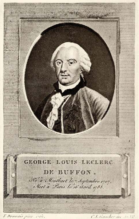 George Louis Leclerc de Buffon  1707 to 1788 French Naturalist Copyright: R R Castell 1802