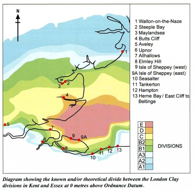 London Clay Sites Kent and Essex Rayner et al Copyright: William George