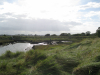 Beaumont Quay view of wreck 29 August 2014