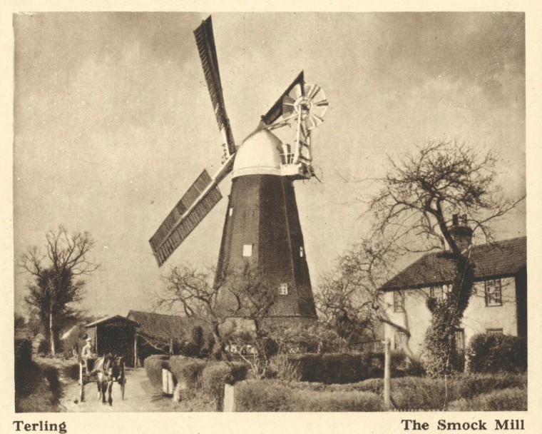 Terling Smock Mill Arthur Mee 1942 Copyright: Arthur Mee 1942