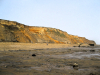 Walton on the Naze Cliffs looking northwards 