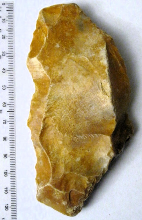 Palaeolithic flake Harkstead Brickearth Copyright: William George