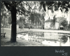 Writtle Pond and Houses Photograph Album 1955 