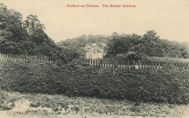 Botany Gardens Purfleet on Thames Copyright: William George