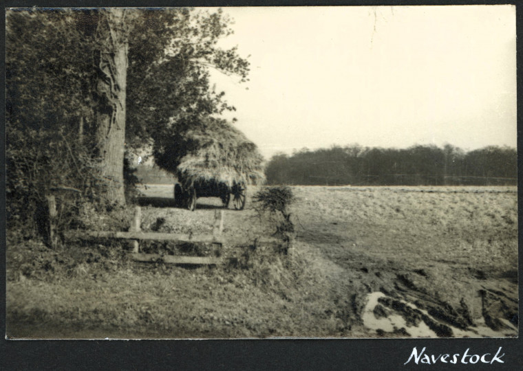 Navestock laden Hay Waggon Photograph Album 1955 Copyright: Photograph Album