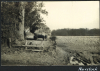 Navestock laden Hay Waggon Photograph Album 1955 