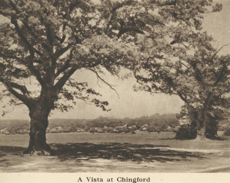 Chingford Epping Forest Vista Arthur Mee 1942 Copyright: Arthur Mee 1942