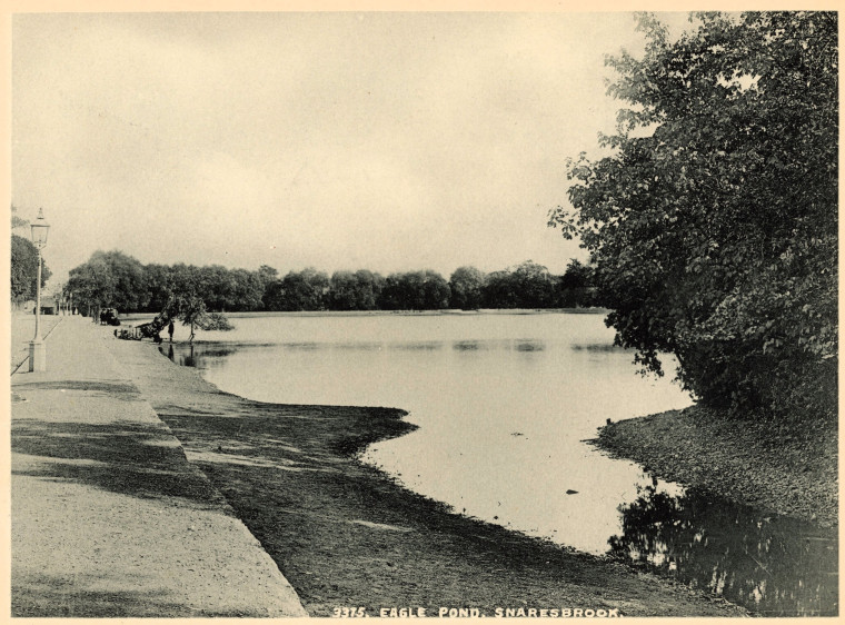 Snaresbrook Eagle Pond 1900 Copyright: G H Holford