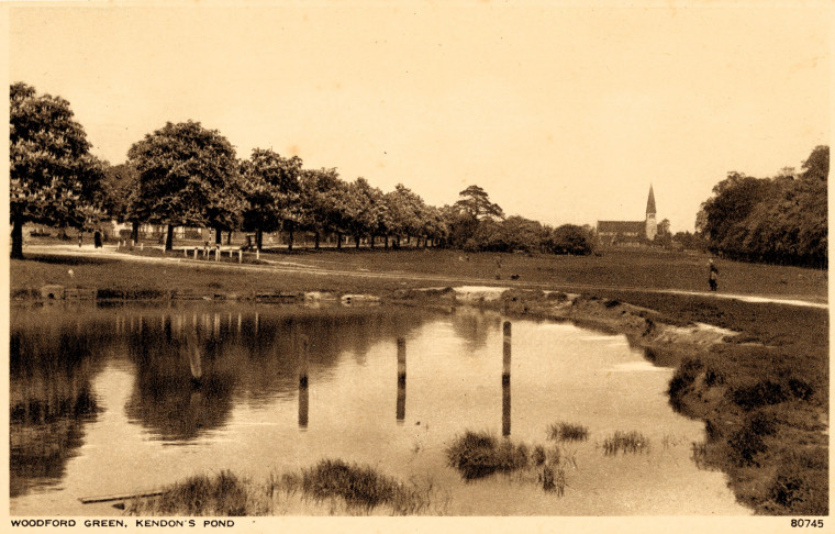 Woodford Green Kendon Pond Copyright: William George