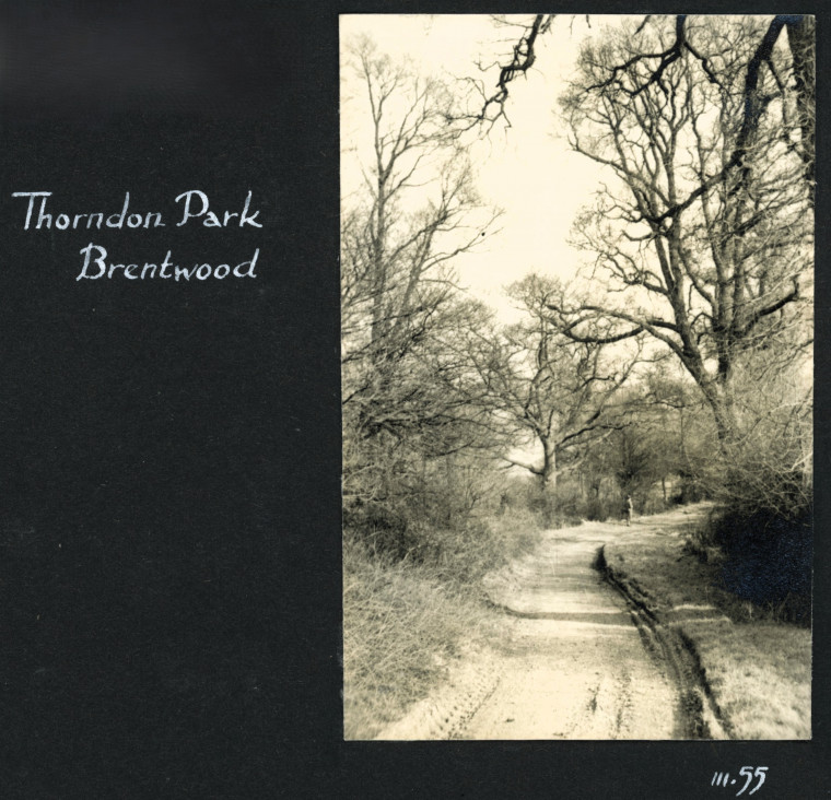 Brentwood Thorndon Park 2 1955 Photograph Album Copyright: Photograph Album