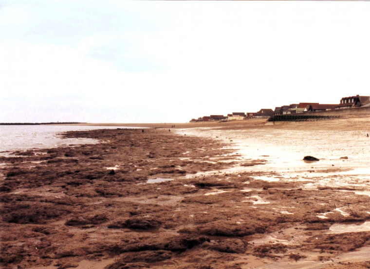 Jaywick Beach before recharge Copyright: William George