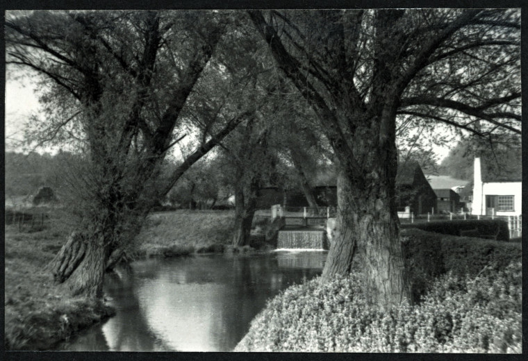 Colchester River Weir 1955 Photograph Album Copyright: Photograph Album