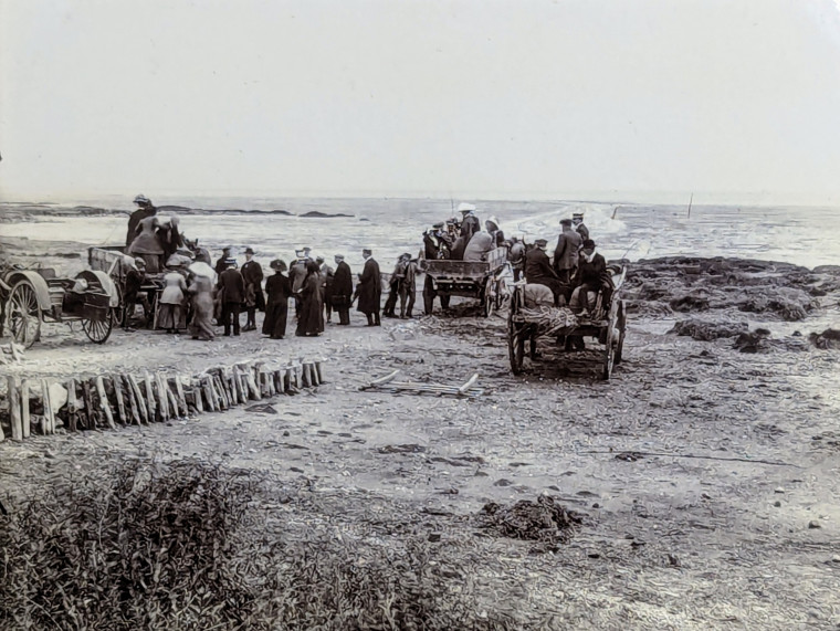 Foulness Essex Field Club Field Trip 17 June 1911 Copyright: F W Reader