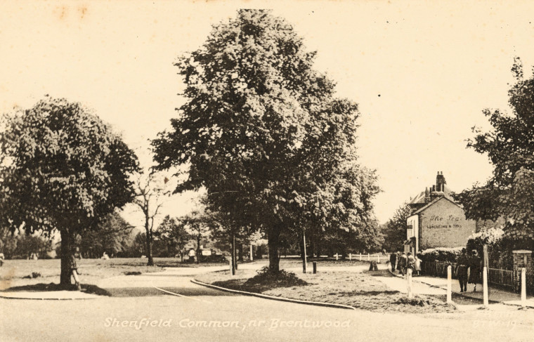 Shenfield Common near Brentwood Copyright: William George