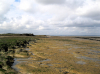 Walton on the Naze Loess and Holocene Deposits at The Naze 