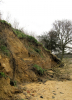 Pleistocene Brickearth Cliff Wrabness Essex 210000 years old 