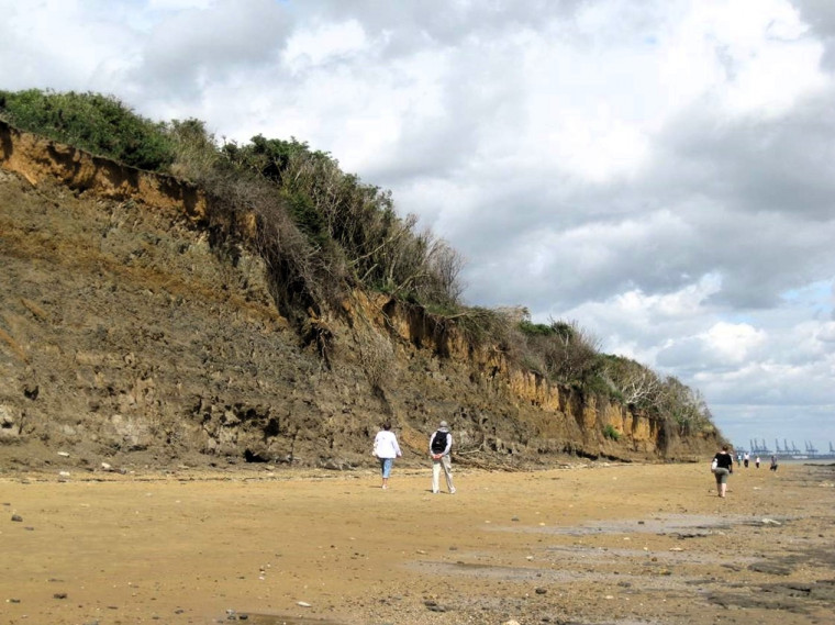 Walton on the Naze Harwich Formation and Loess Copyright: William George