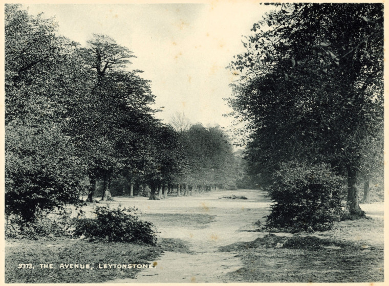 Leytonstone The Avenue 1900 Copyright: William George