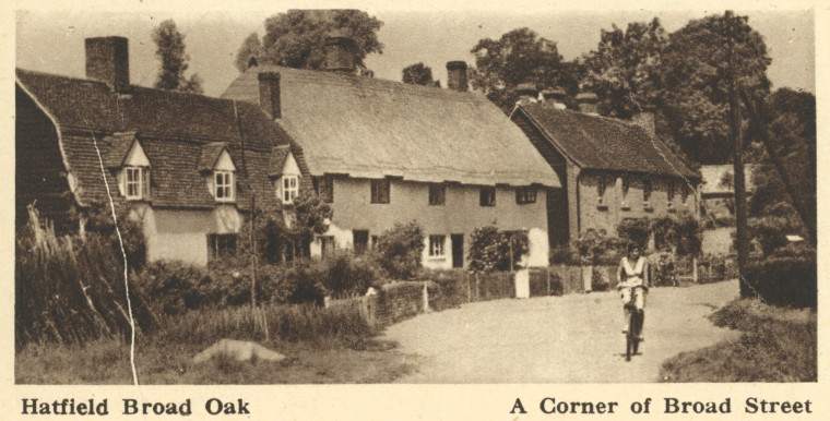 Hatfield Broad Oak Broad Street Arthur Mee 1942 Copyright: Arthur Mee 1942