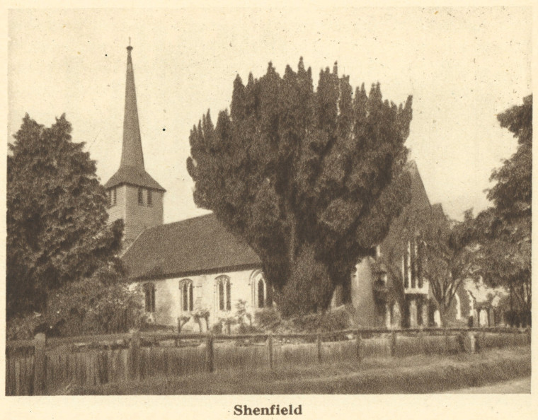 Shenfield Church Arthur Mee 1942 Copyright: Arthur Mee 1942