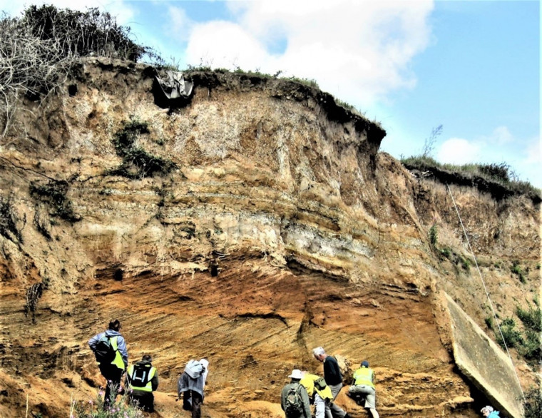 Walton on the Naze Cliff Section with Geological Party Copyright: William George