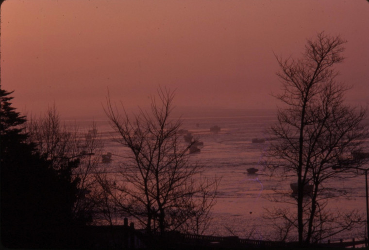 Leigh Sunset trees and sea view May 1982 Copyright: Roger Payne