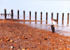 Clacton beach showing exposed London Clay with G R Ward 