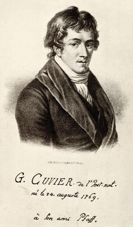 Georges Cuvier 1769 to 1832 French Naturalist 1845 Copyright: C H Pfaff 