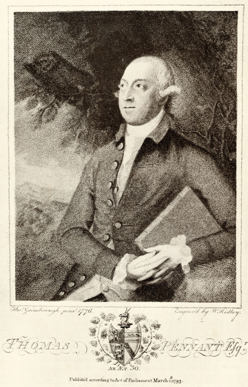 Thomas Pennant 1726 to 1798 Naturalist 1793 Copyright: Thomas Gainsborough