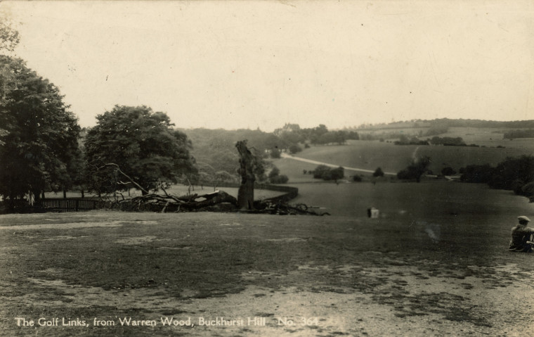 Buckhurst Hill Golf Links viewed from Warren Wood Copyright: William George